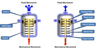 diaphragms